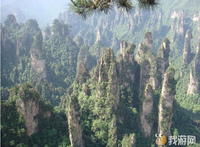 ���� dhh d.jpg